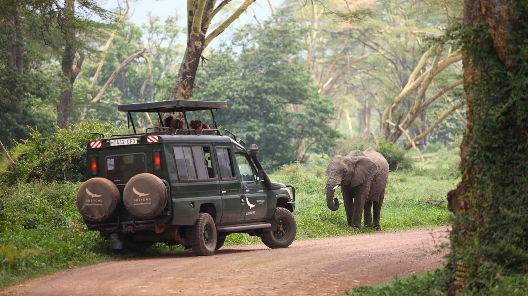A game drive in the Ngorongoro Conservation Area