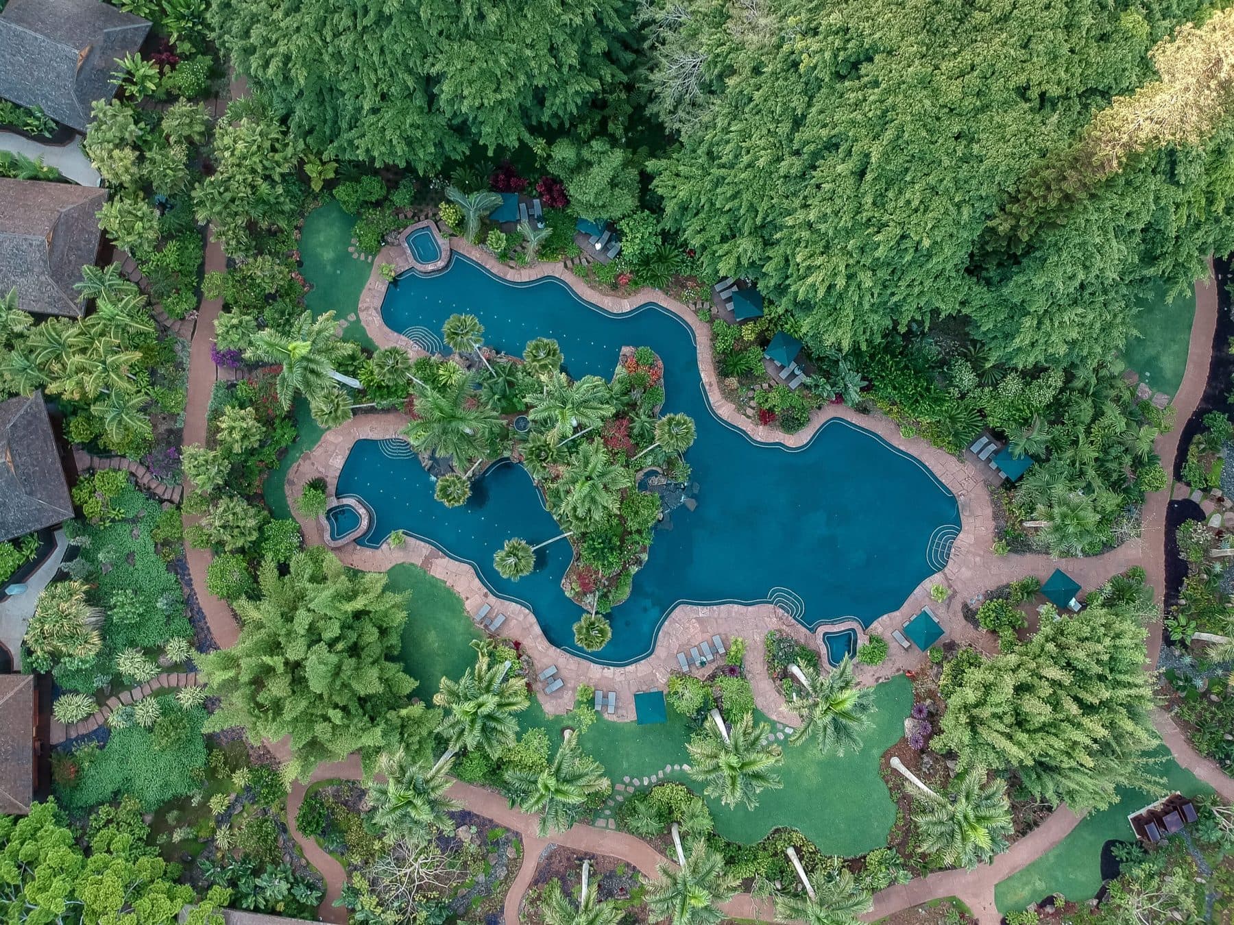 The lap pool, cut into the uplands